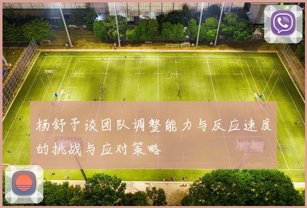杨舒予谈团队调整能力与反应速度的挑战与应对策略
