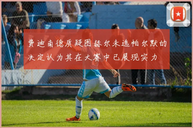 费迪南德质疑图赫尔未选帕尔默的决定认为其在大赛中已展现实力